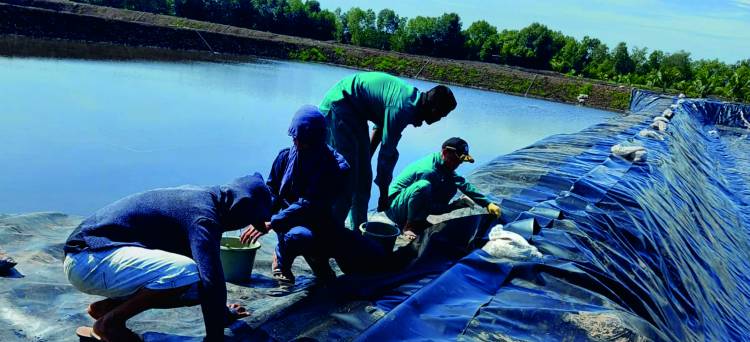 Pemasangan/Instalasai Plastik Geomembrane HDPE