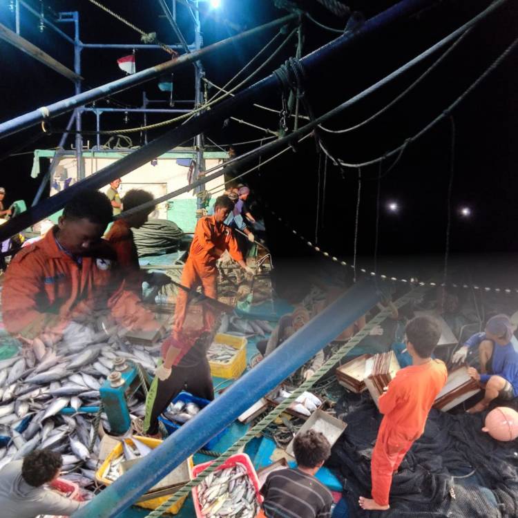Taruna PKP Bone Prodi Teknik Penangkapan Ikan meningkatkan skill Penangkapan Ikan melalui kegiatan KPA di KM.SINAR CEMERLANG 1